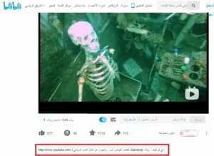 فيديو الادعاء طائرة حربية يعود إلى بولندا ويستخدم كعامل سياحي فتبينوا