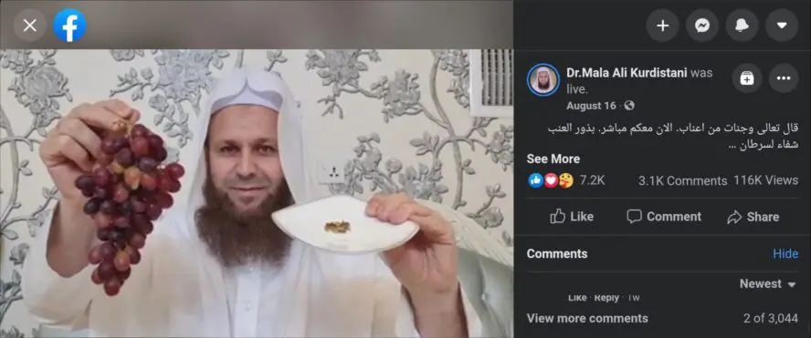 ملا علي كردستاني بذور العنب.