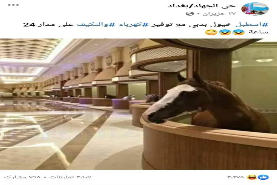 اسطبل خيول في دبي