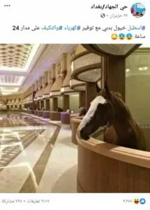 اسطبل خيول في دبي
