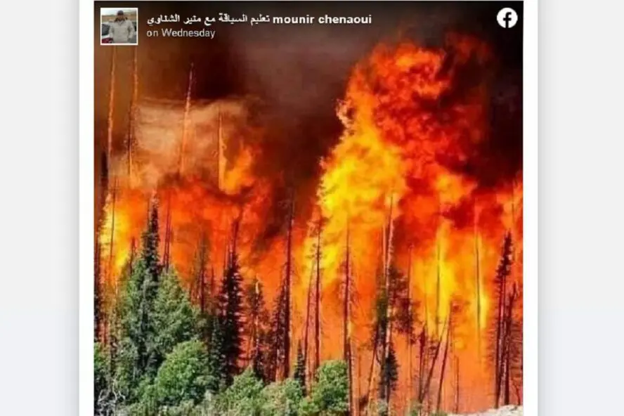هذه الصورة لا تعود إلى حرائق الجزائر الأخيرة فتبينوا