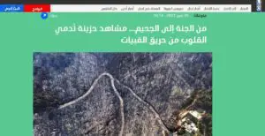 لقطة شاشة من موقع LBC لحرائق لبنان في القبيات في يوليو المنصرم
