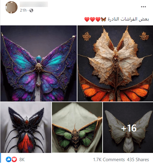 فراشات نادرة