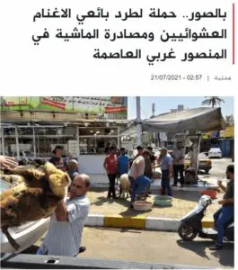 ادعاء مصادرة أغنام في كربلاء