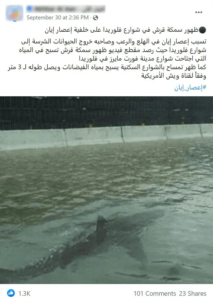 فلوريدا