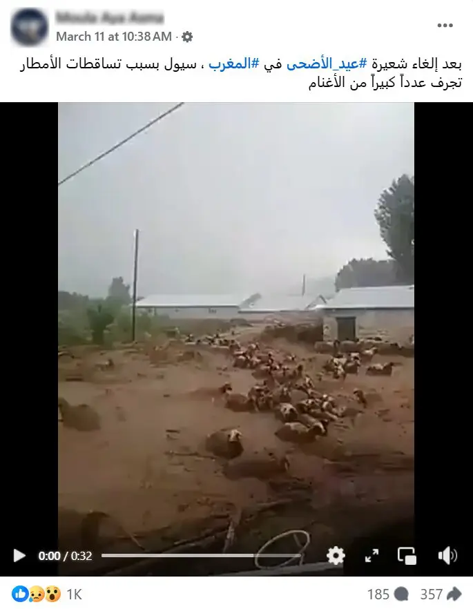 في تركيا