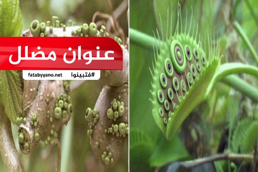 نباتات ذات عيون مضلل