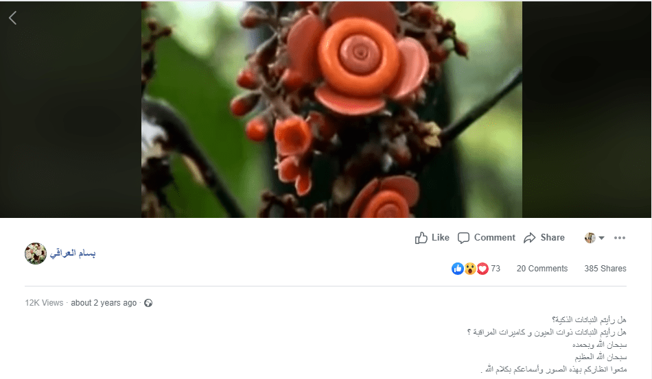 فيديو نباتات ذكية ذات عيون وكاميرات مراقبة