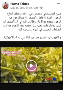 نشر حساب Fatma Taktak هذا الادعاء بتاريخ 16 مايو 2019 بالصيغة الآتية: "مسن اذريبيجاني تخصص في زراعة مختلف انواع الزهور ..لمدة ١٥ عاما ..اكتشف ان هنالك نوع من الزهور تتفتح مع الاذان وظل يراقبه الي ان اكتشف انه ليس بعامل وقت معين ..بل تتفتح هذه الزهور مع اذان الصلوات الخمس في اليوم ..سبحان الله و الغريب ان التقرير معد من قناة سي ان ان الأمريكية"