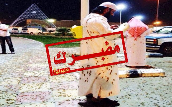 Locust plague in Saudi Arabia (Riyadh) – May 15 2014. Photo: Alerta Roja Noticias