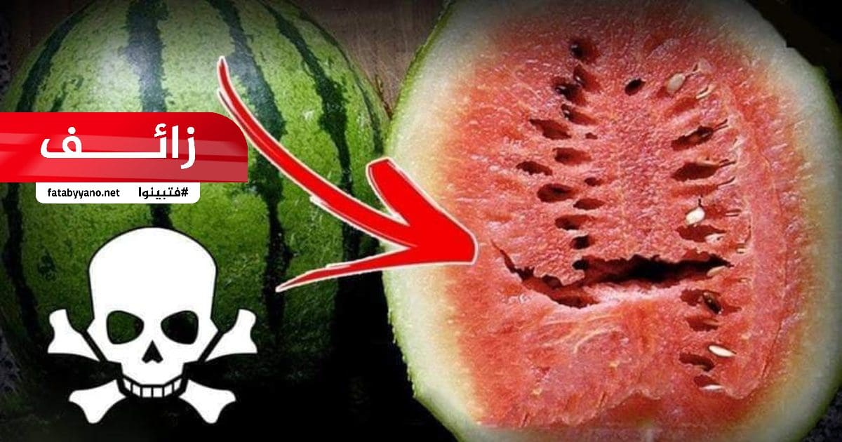 الشقوق داخل البطيخ تسبب السرطان - زائف