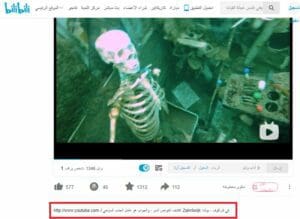 فيديو الادعاء طائرة حربية يعود إلى بولندا ويستخدم كعامل سياحي فتبينوا