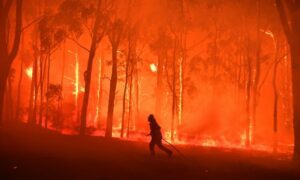 الحقائق حول حرائق غابات أستراليا عام 2019 فتبينوا