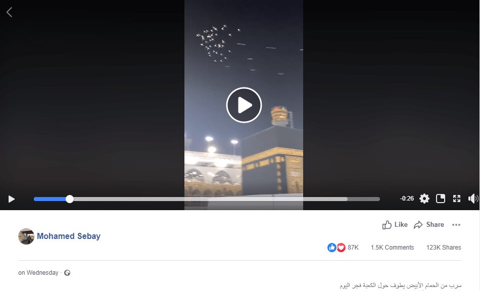 فيديو ادعاء سرب من الحمام الأبيض يطوف الكعبة