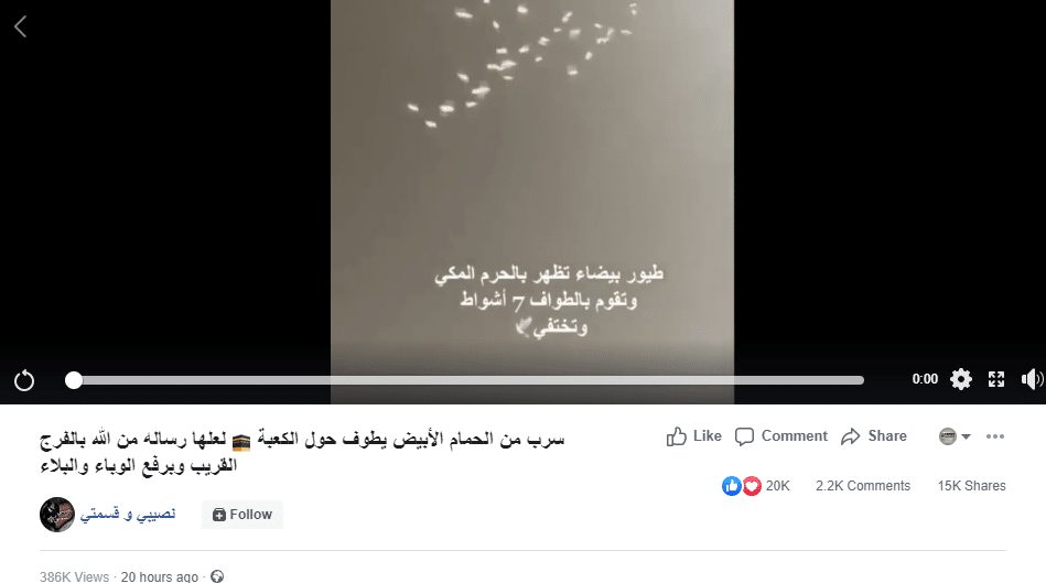 فيديو ادعاء سرب من الحمام الأبيض يطوف الكعبة