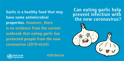 تناول الثوم ليس علاجا لكورونا -منظمة الصحة العالمية-