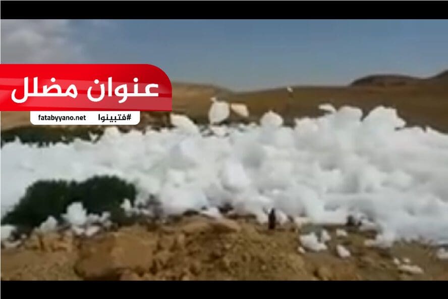 زبد البحيرة