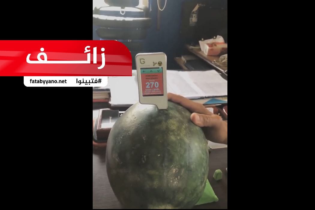 بطيخ