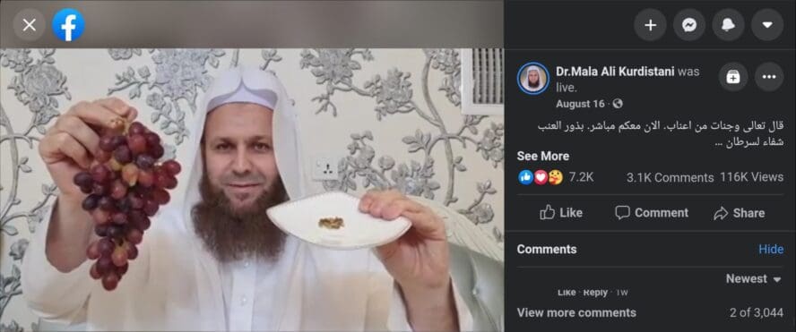 ملا علي كردستاني بذور العنب.