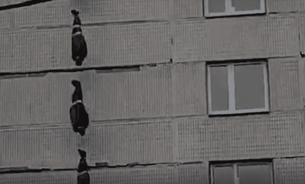 هذه ليست جثث موتى كورونا بل دمى بلاستيكيه