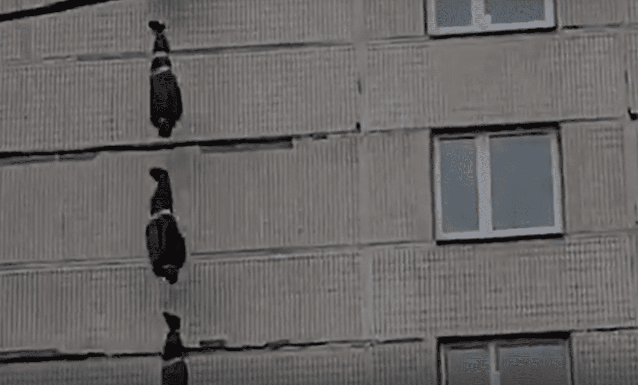 هذه ليست جثث موتى كورونا بل دمى بلاستيكيه