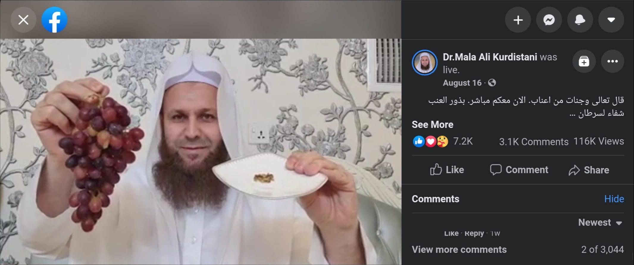 ملا علي كردستاني بذور العنب.