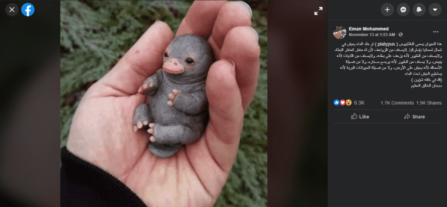 صورة لدمية عمل فني خيالي وليست لحيوان خلد الماء platypus.