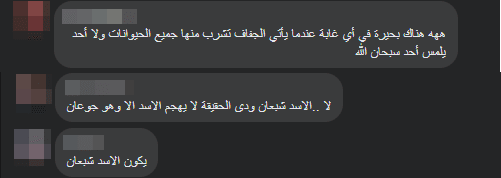 تعليقات من فيسبوك