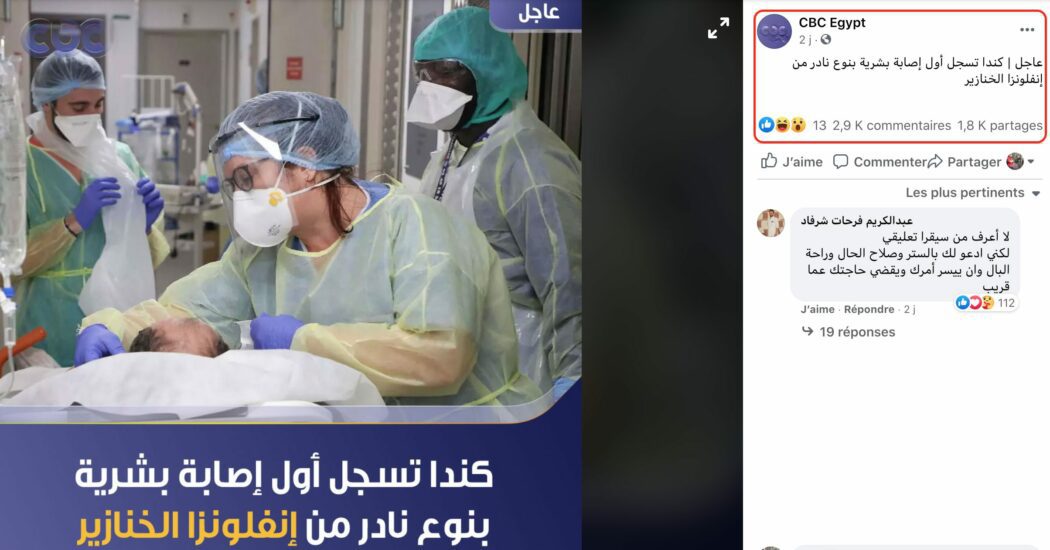 حالة نادرة إنفلونزا الخنازير في كندا