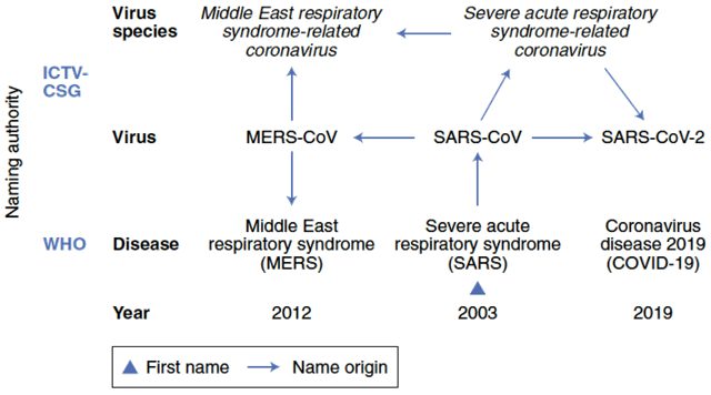 مراحل تسمية Covid19