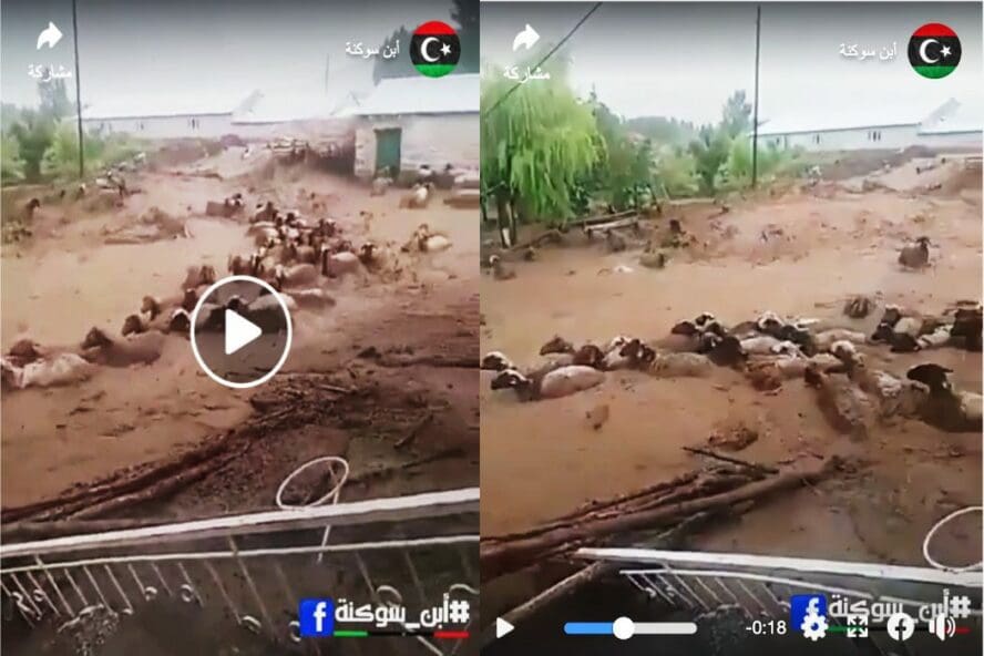 ادعاء فيضانات في تركيا وليس المغرب