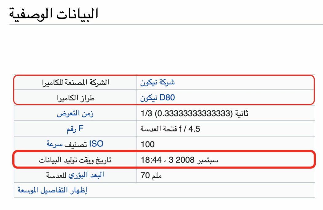 برج القاهرة مضاء ليلا بعلم دولة فلسطين ادعاء زائف