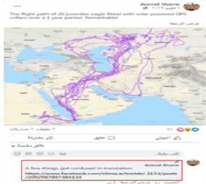 ادعاء خريطة تتبع نسر لمدة عشرين عام