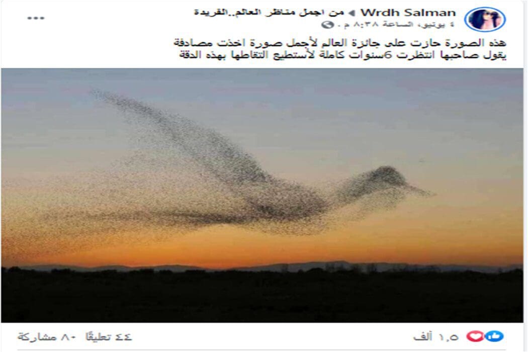 ادعاء مصور انتظر ستة سنوات لالتقاط صورة