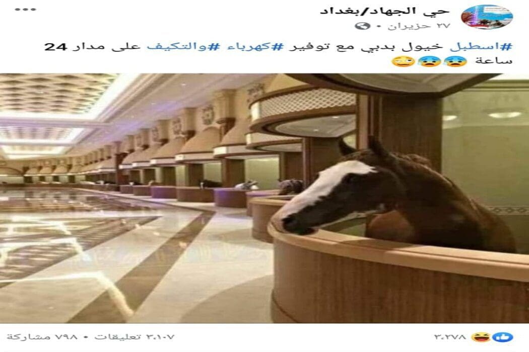 اسطبل خيول في دبي