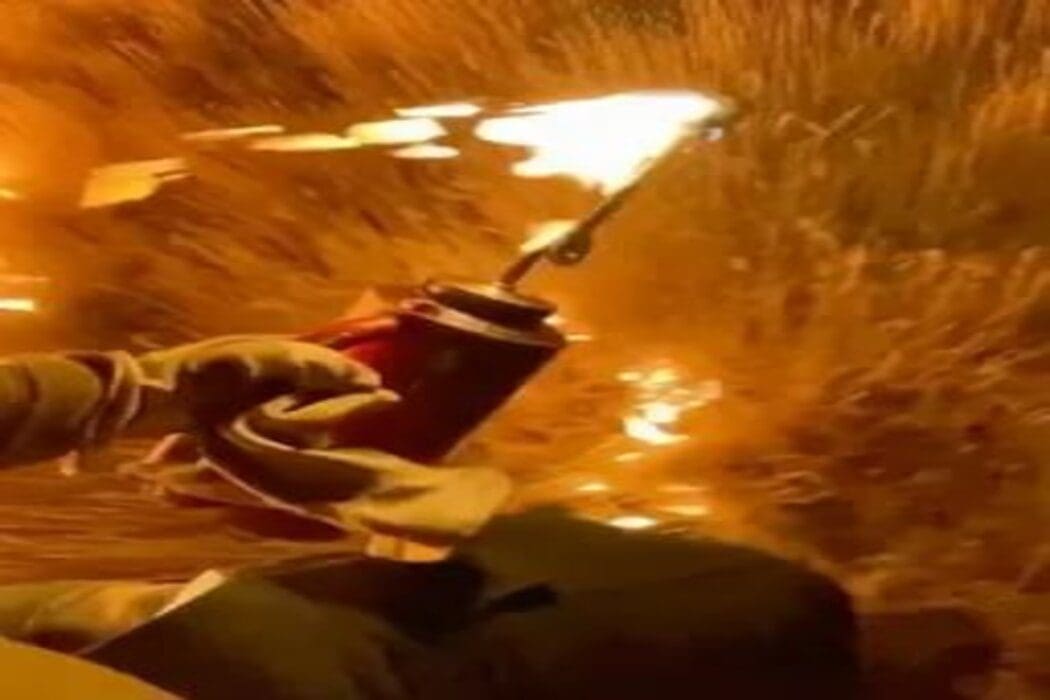 ادعاء شخص يقوم باحراق الغابات