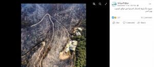 ناشر ادعاء صور حرائق غابات جنوب لبنان في نوفمبر فتبينوا