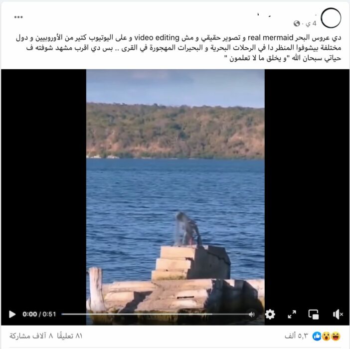 لا يظهر عروسة بحر