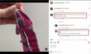 ادعاء هكذا تغير الحرباء لونها