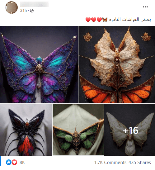 فراشات نادرة