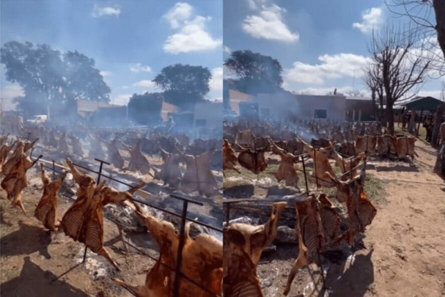 مهرجان الارجنتين