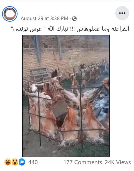 مهرجان الارجنتين وليس عرس تونس