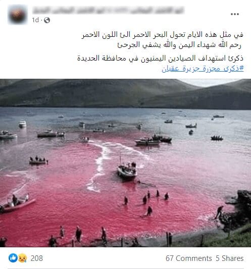 الحيتان
