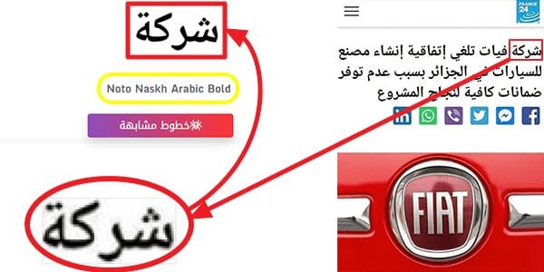 فرانس24