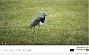 حرائق